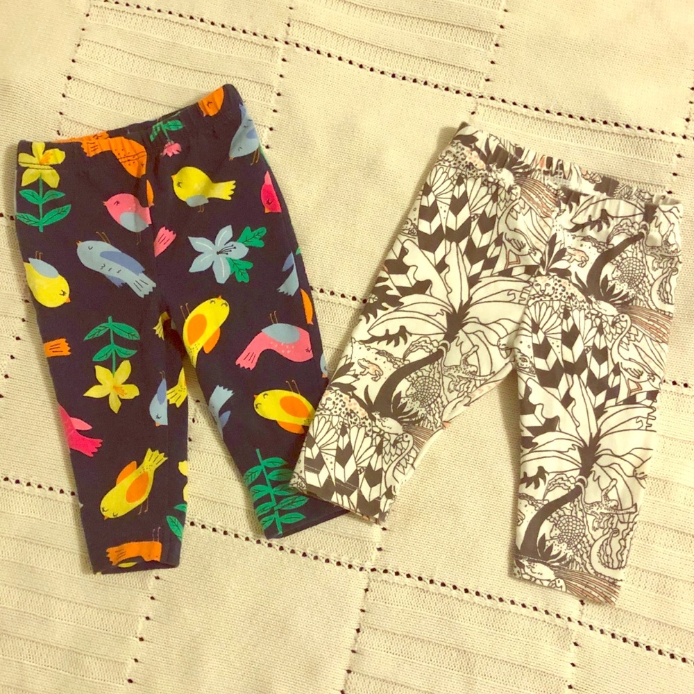 🌵3 for $15🌵